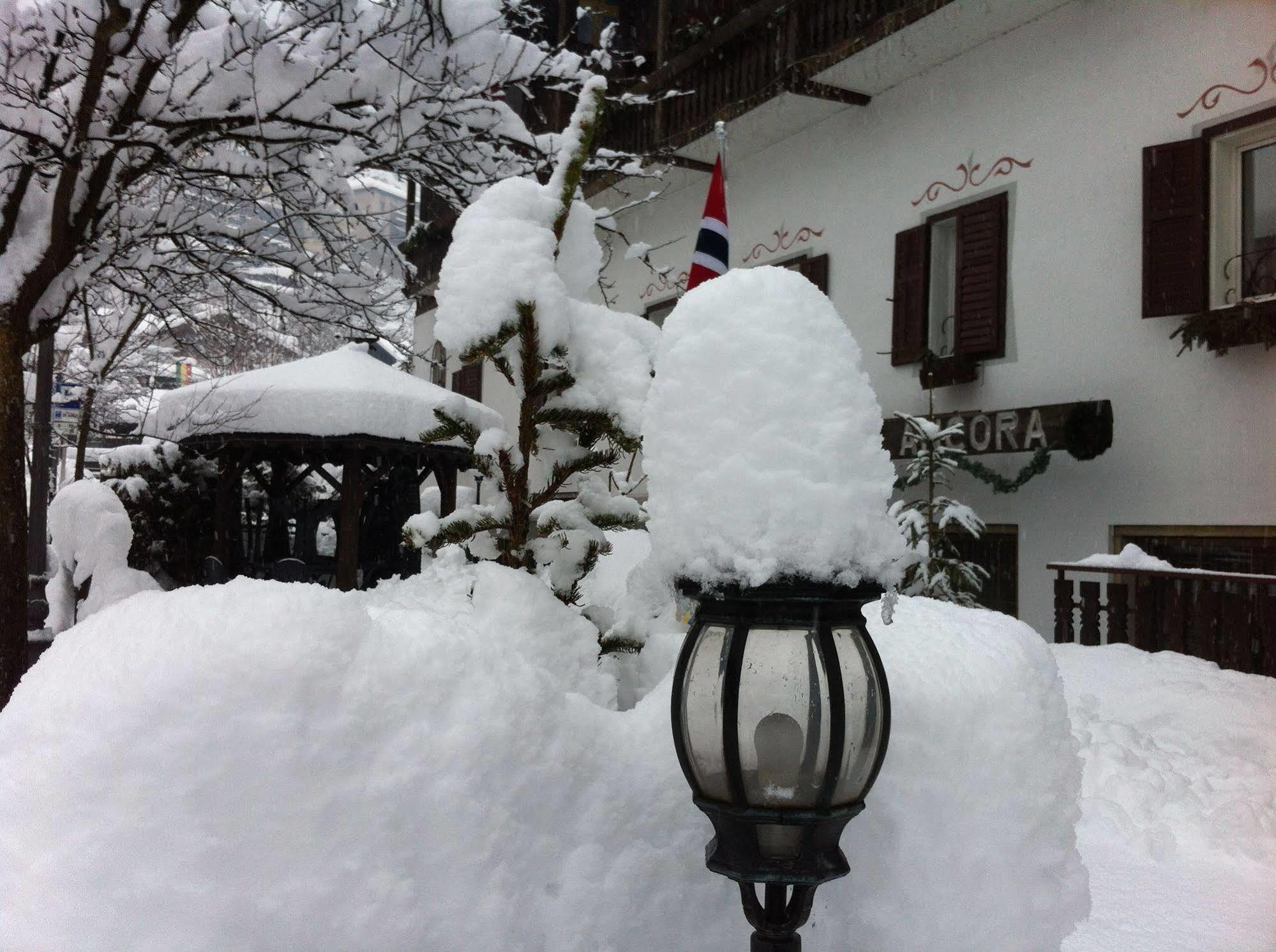 Hotel Ancora Castello-Molina di Fiemme Bagian luar foto